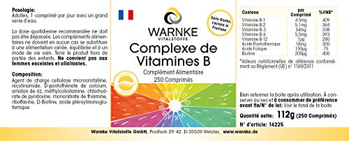 Vitamina B Complex – Vegetariano – Con todas las vitaminas B esenciales – 250 cápsulas