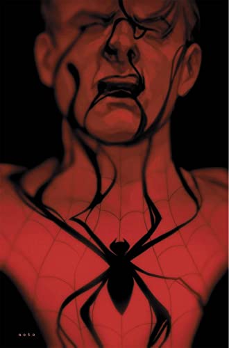 What If...? Spiderman: La sombra de la araña