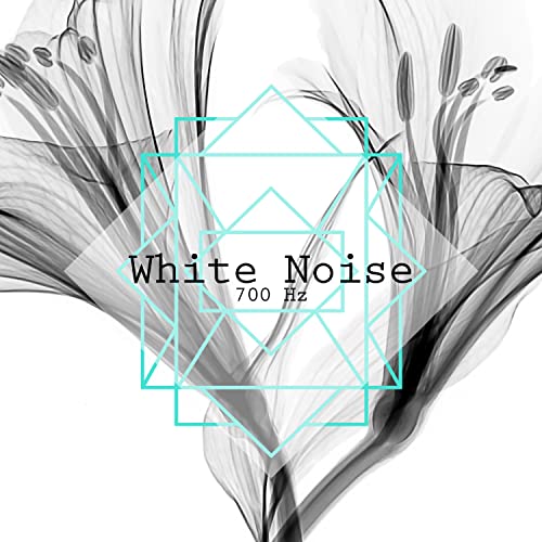 White Noise 700 Hz, Pt. 12
