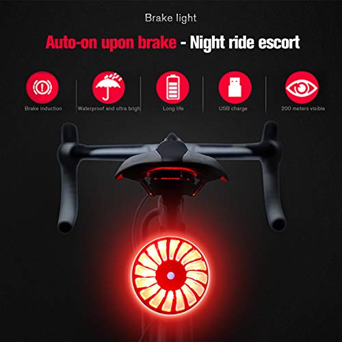 WILDKEN LED Luz Trasera de Bicicleta Recargable USB Impermeable Sensor de Luz de Freno Inteligente 5 Modos Deporte LED Luz de Cola de Ciclismo Luz Estroboscópica de Advertencia de Seguridad (Negro)