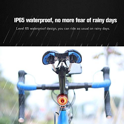 WILDKEN LED Luz Trasera de Bicicleta Recargable USB Impermeable Sensor de Luz de Freno Inteligente 5 Modos Deporte LED Luz de Cola de Ciclismo Luz Estroboscópica de Advertencia de Seguridad (Negro)