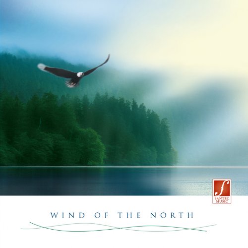 Wind of the North: Irish Celtic Music (Stimulating, for a Positive, Optimistic Mood)
