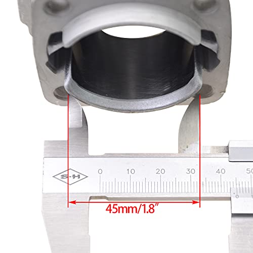 WOOSTAR 44mm Big Bore Cilindro con Pistón Kit y Juntas y Bujía Reemplazo para 2 Tiempos 43cc 47cc 49cc Mini China ATV Quad Pocket Bike Gas Scooter