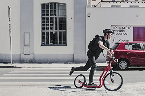 YEDOO Trottinette Mula RunRun Red
