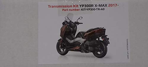 YP300R X-Max 300 - Kit de revisión de transmisión y revisión de accesorios de recambio originales, correa de rodillos deslizadores y tacos originales para scooter